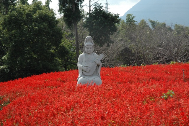 有明の森フラワー公園