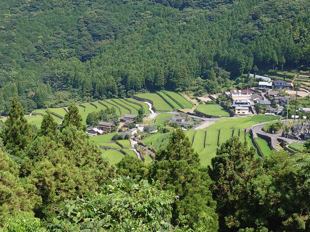 棚田(拡大)