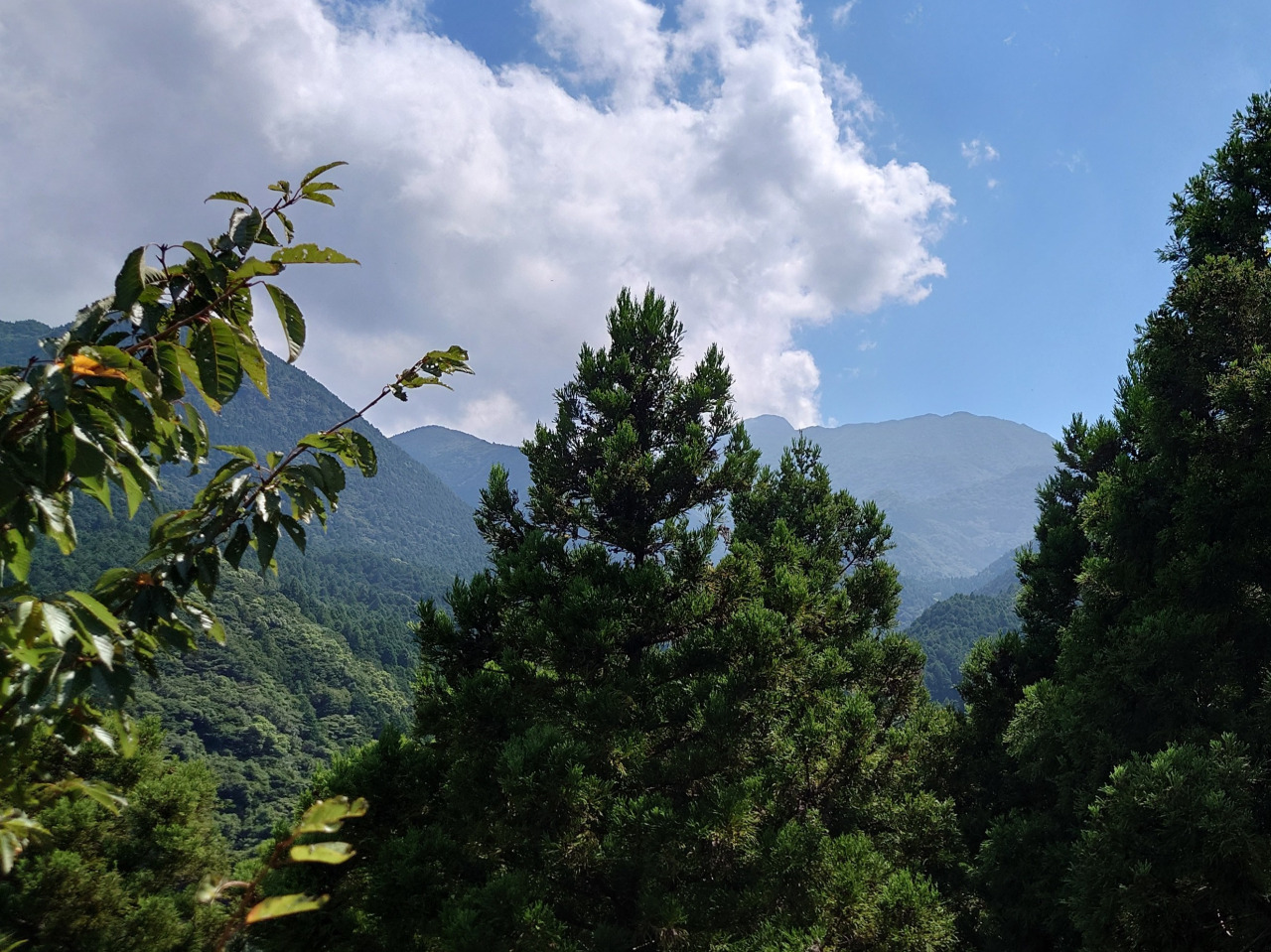 雲仙岳の眺め