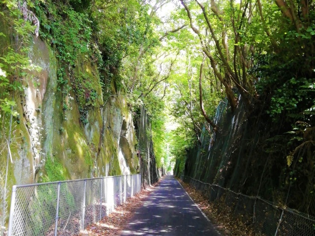 緑のトンネル