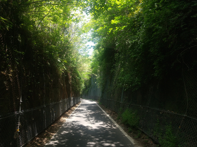 緑のトンネル