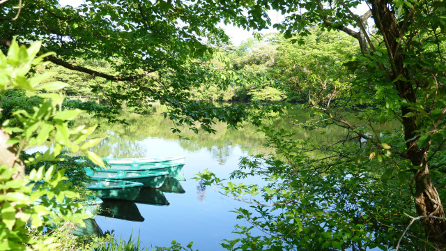 ガイドと一緒にのんびりお散歩！白雲の池ウォーキング