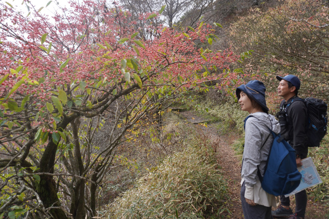 ガイドと共に登山！