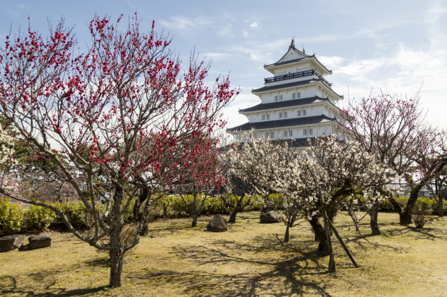 島原城梅まつり