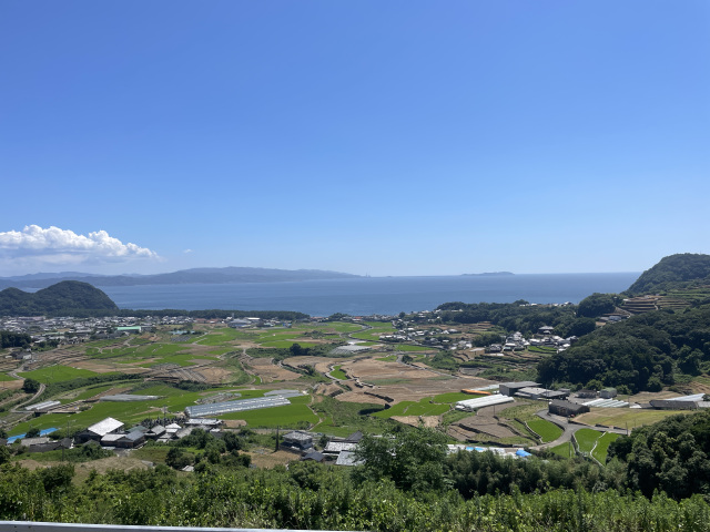 花房展望所
