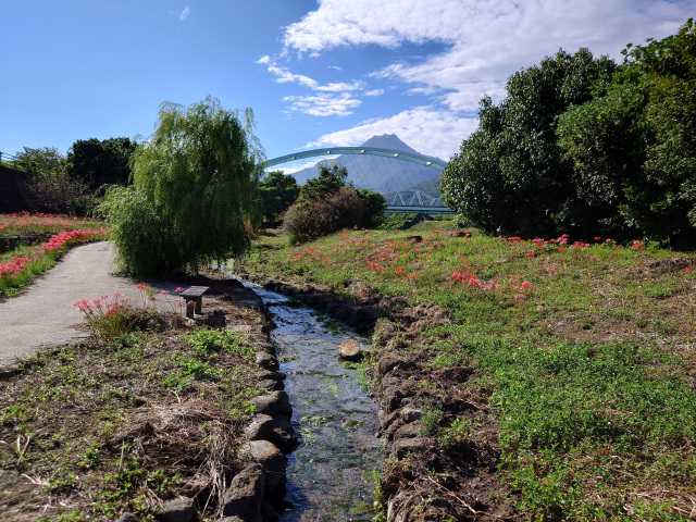 われん川