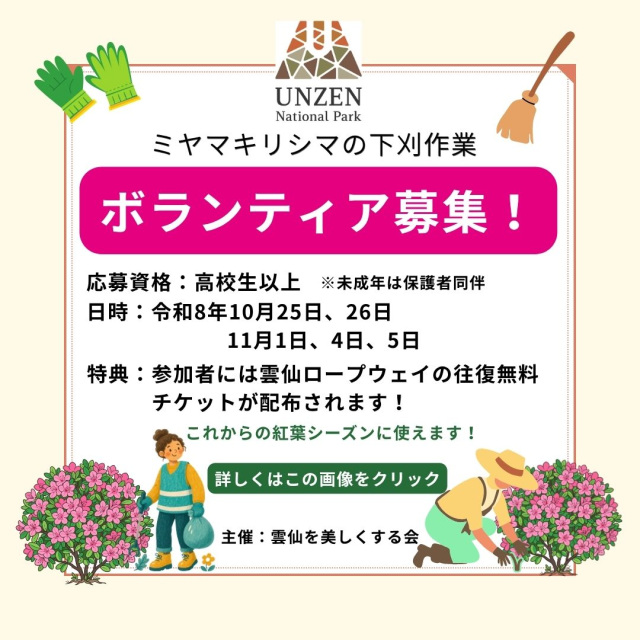 ミヤマキリシマの下刈作業