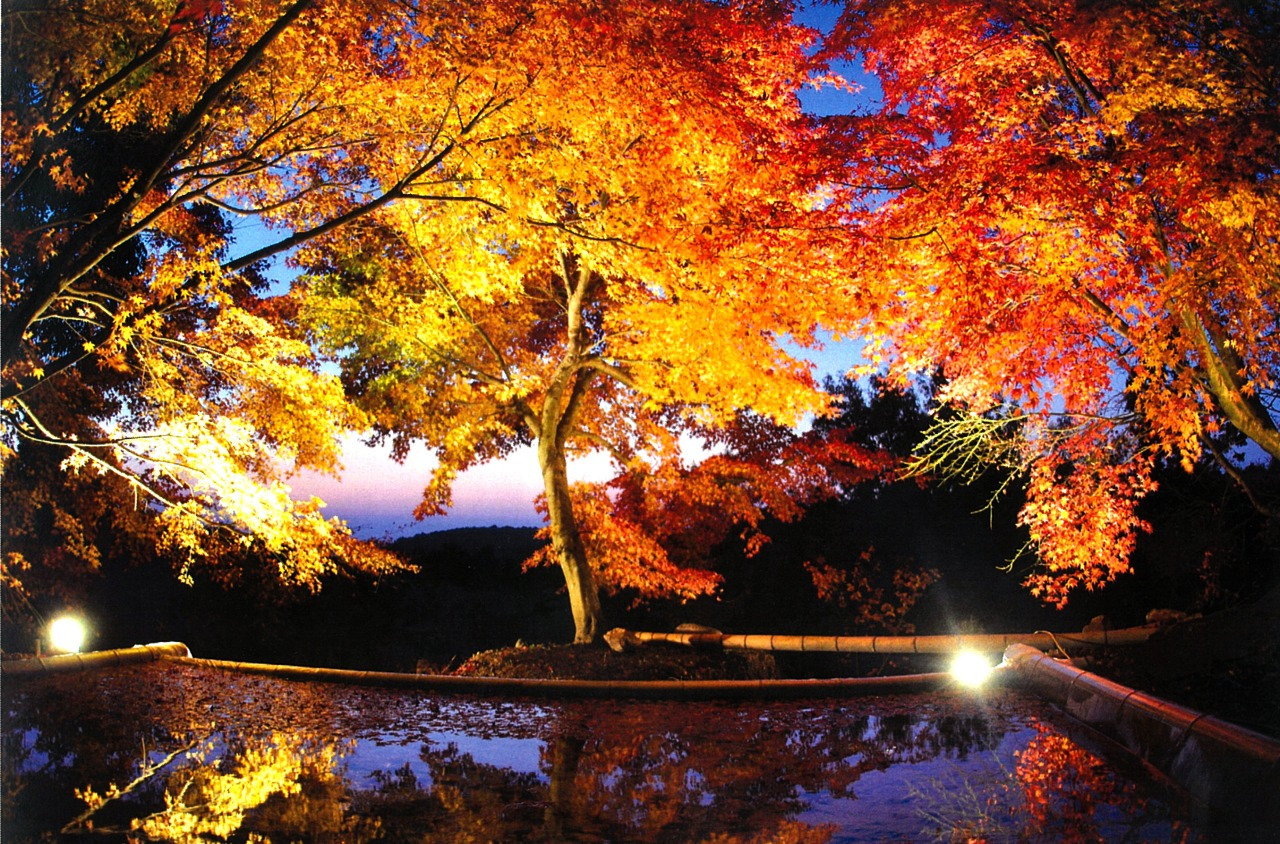 三十路苑（紅葉スポット）
