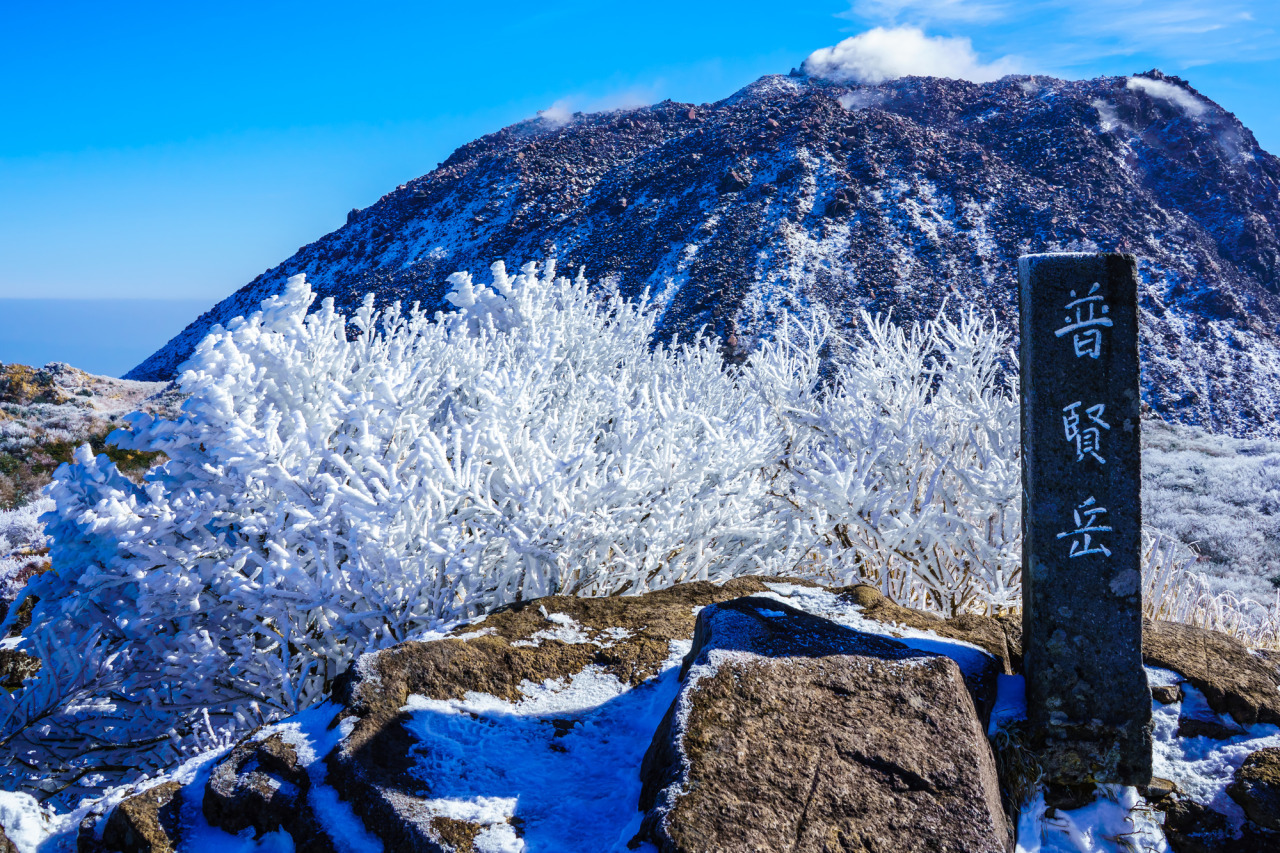 雲仙普賢岳（霧氷）
