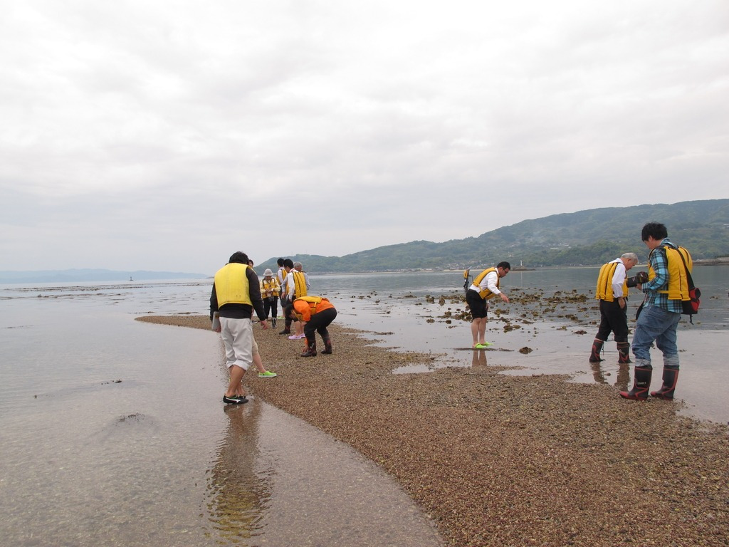 白洲見学ツアー(限定ツアー)